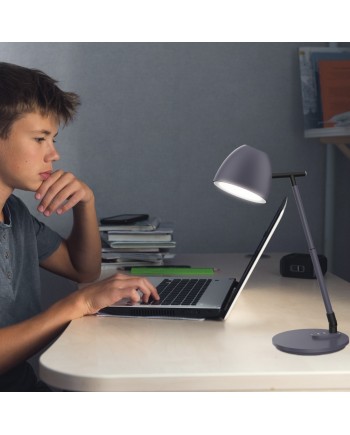 FLEXO LED FOSTER GRIS OSCURO LED 8W 580LM