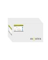 PAOLA*ORO* LÁMPARA LINEAL 6L (2 BRAZOS)
