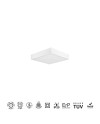 SAONA SUPERFICIE * DOWNLIGHT LED CUADRADO - 8W - 4000K