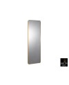 ORIO-ESPEJO RECT 65X180 ORO